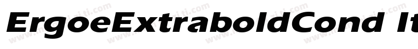 ErgoeExtraboldCond Italic字体转换